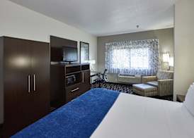Holiday Inn Express & Suites BIRMINGHAM SOUTH - PELHAM by IHG 4