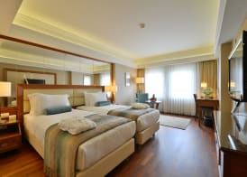 Marigold Thermal & Spa Hotel Bursa 5