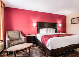 Econo Lodge Pocomoke City Hwy 13 4