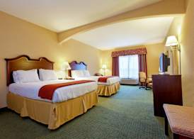 Holiday Inn Express & Suites SAN ANTONIO SOUTH by IHG 5