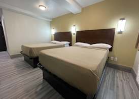 Hotel 369 Brooklyn 3