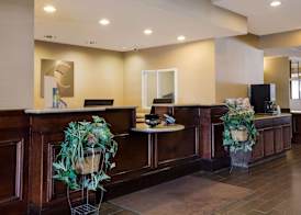 Comfort Suites Near University 3