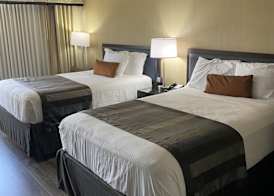 Wingate by Wyndham Springfield 5