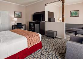 Best Western Spring Hill Inn & Suites 5