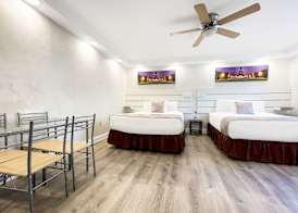 The Palms 2