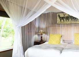 Zambezi Dusk River Facing-all inclusive-Luxury Accommodation 4