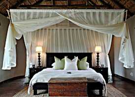 Hlosi Game Lodge - Amakhala Game Reserve 4