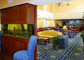 Hampton Inn Dallas-Rockwall 5