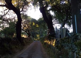Hotel La Era de Aracena - Adults Only 2