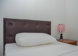 mount view hotel 4