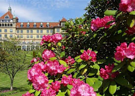 Hotel Vejlefjord 2