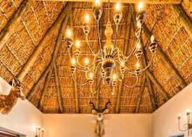 Ikhaya Safari Lodge 5