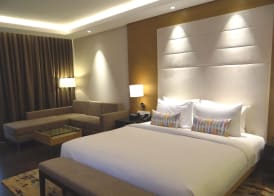 Feathers- A Radha Hotel, Chennai 4