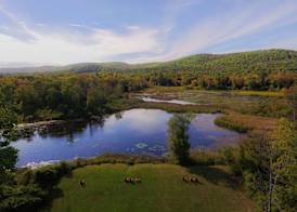 Hampton Inn & Suites Berkshires-Lenox 3