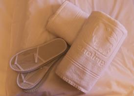 Style Hotel Grifone 4