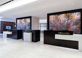 Baton Rouge Marriott 4