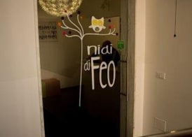 Nidi di Feo 2