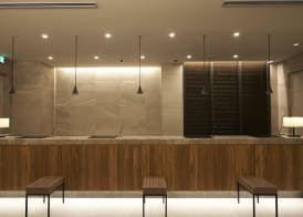 Sotetsu Fresa Inn Ginza-Nanachome 2