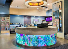 Aloft by Marriott Jacksonville Airport 2