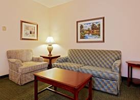 Holiday Inn Express & Suites SAN ANTONIO SOUTH by IHG 4