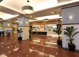 APA Hotel Sapporo Susukino Ekinishi 2