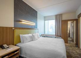 SpringHill Suites Tampa North/Tampa Palms 5