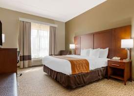 Comfort Inn & Suites Cordele 5