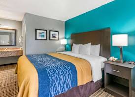 Comfort Inn Sun City Center - Ruskin - Tampa South 5