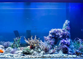 Stanze del Mare 3