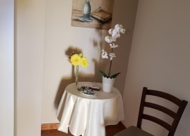 B&B Mimosa 3