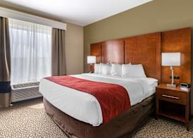 Comfort Suites Florence I-95 4