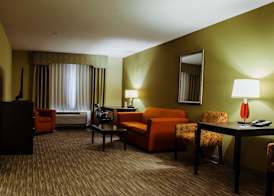 Holiday Inn Express & Suites WALLER - PRAIRIE VIEW by IHG 3