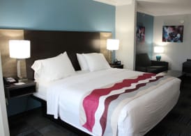 Best Western Medical Center North Inn & Suites Near Six Flags 5