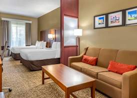 Comfort Suites Clayton - Garner 5