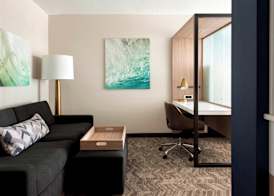 SpringHill Suites by Marriott Tampa Suncoast Parkway 5