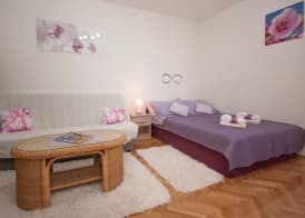 Studio apartment Tina 4