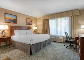 Best Western Seven Seas 5