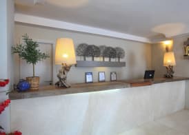 Hotel Zeytinada 3