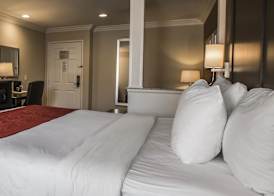 Comfort Suites San Clemente Beach 4