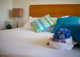 Hotel Albatross 5