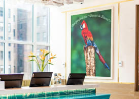 Margaritaville Resort Times Square 3