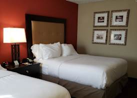 Wyndham Garden Dover 3