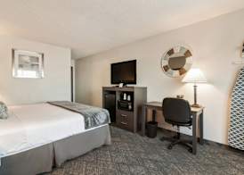 American Inn Suites Detroit Metro Airport 5