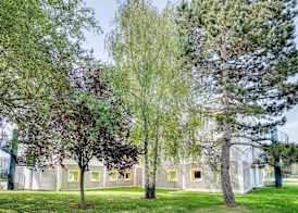 ibis budget Versailles - Trappes 4