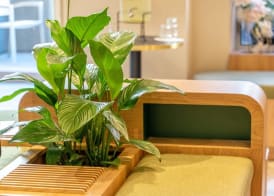 Hotel Boréal Nice 5