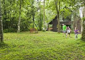Rockwood Karkloof Forest Lodge & Mountain Cabin 3