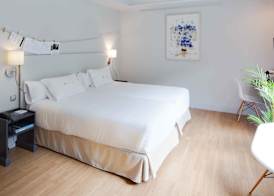 Hotel Rio Bidasoa 5