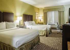 Holiday Inn Express & Suites WALLER - PRAIRIE VIEW by IHG 5