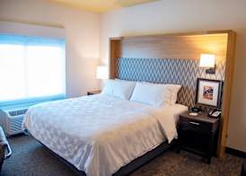 Holiday Inn & Suites SAVANNAH AIRPORT - POOLER by IHG 4