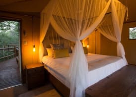 Vuyani Safari Lodge 4